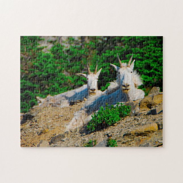 Mountain Goats Montana. Jigsaw Puzzle (Horizontal)