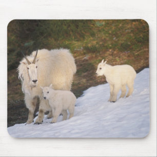 mountain goats mouse pad