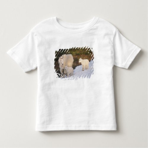 mountain goats Oreamnos americanus mother and Toddler T_shirt