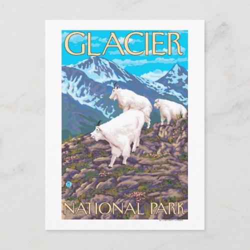 Mountain Goats Scene _ Glacier National Park Postcard
