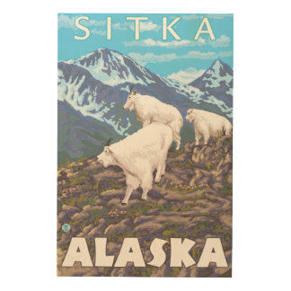 Mountain Goats Scene - Sitka, Alaska Wood Wall Art
