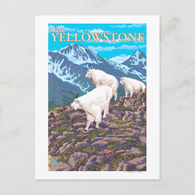 Mountain Goats Scene - West Yellowstone, MT Postcard (Front)