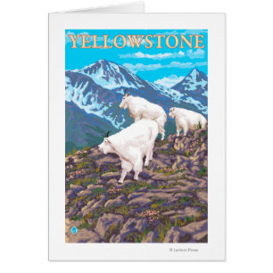 Mountain Goats Scene - Yellowstone National Park
