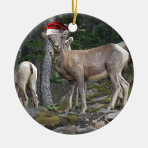 Mountain Goats wearing Santa Claus Hats Ceramic Ornament