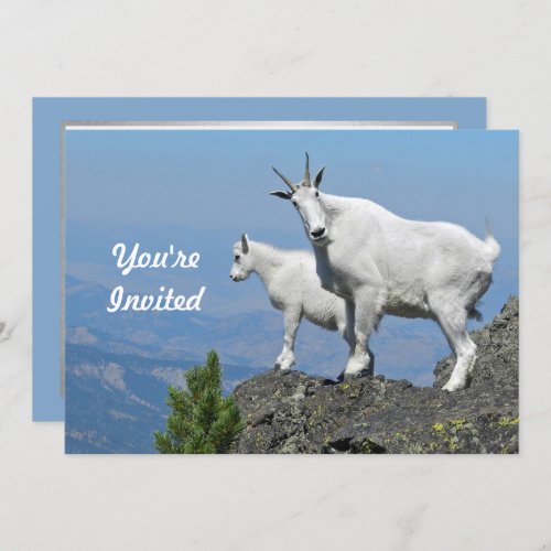 Mountain Goats White Wildlife Photo Birthday Invitation