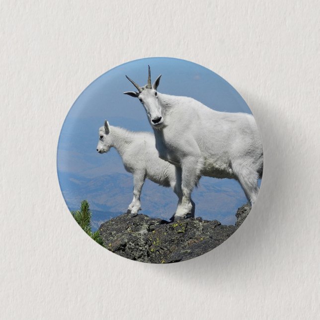 Mountain Goats White Wildlife Photo Button (Front)