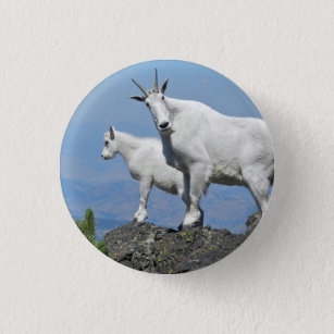 Mountain Goats White Wildlife Photo Button
