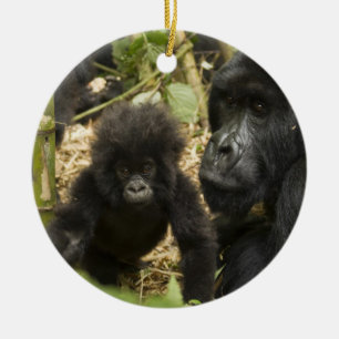 Mountain Gorilla, adult with young Ceramic Ornament