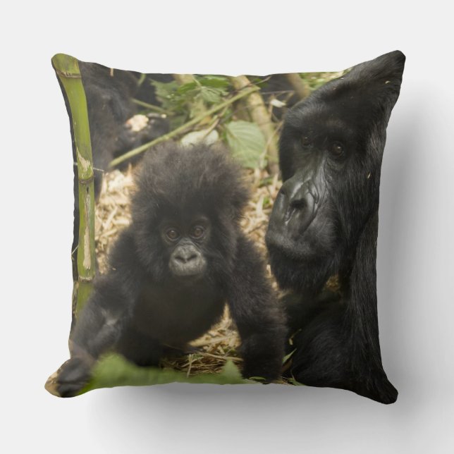 Mountain Gorilla, adult with young Throw Pillow (Front)