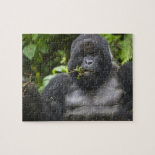 Mountain Gorilla and Silverback Jigsaw Puzzle