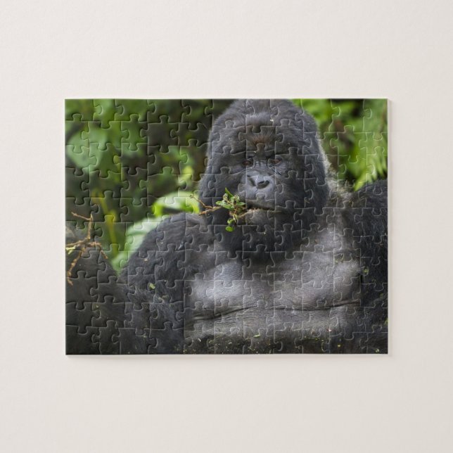 Mountain Gorilla and Silverback Jigsaw Puzzle (Horizontal)