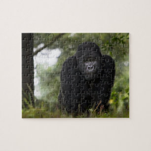 Mountain Gorilla and Silverback Jigsaw Puzzle