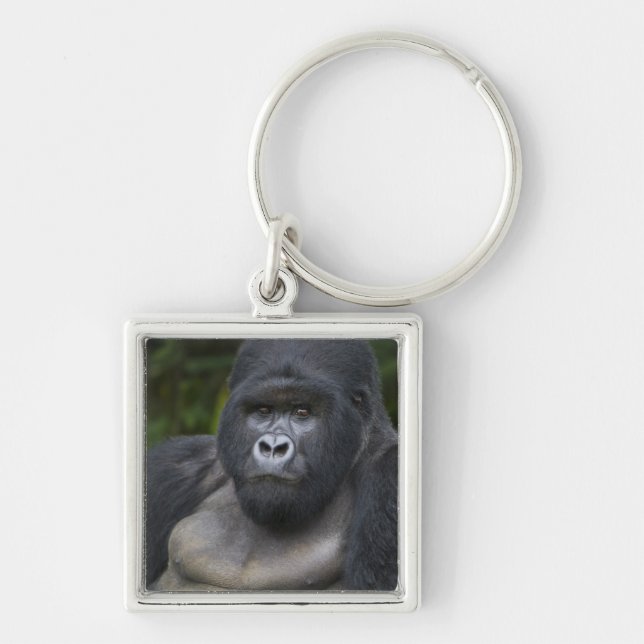 Mountain Gorilla and Silverback Keychain (Front)
