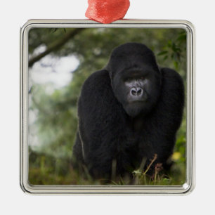 Mountain Gorilla and Silverback Metal Ornament