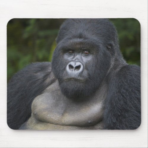 Mountain Gorilla and Silverback Mouse Pad