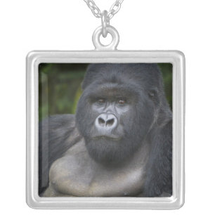 Mountain Gorilla and Silverback Silver Plated Necklace