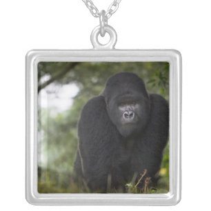 Mountain Gorilla and Silverback Silver Plated Necklace