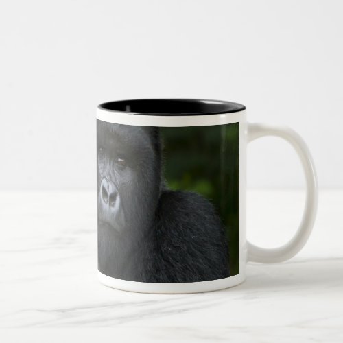 Mountain Gorilla and Silverback Two_Tone Coffee Mug
