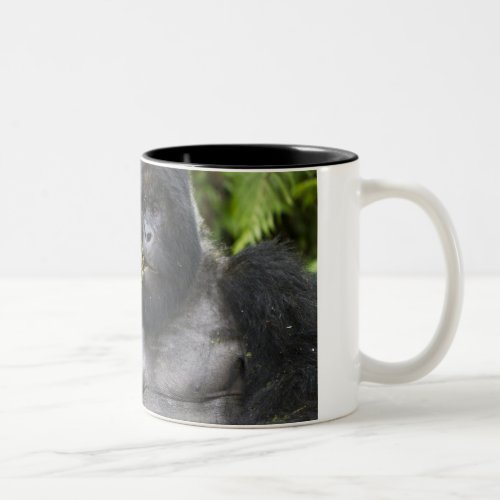 Mountain Gorilla and Silverback Two_Tone Coffee Mug
