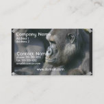 Mountain Gorilla Business Card