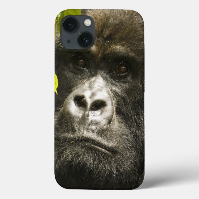 Mountain Gorilla, Gorilla beringei beringei, Case-Mate iPhone Case (Back)
