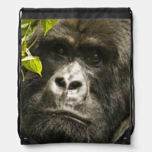 Mountain Gorilla, Gorilla beringei beringei, Drawstring Bag