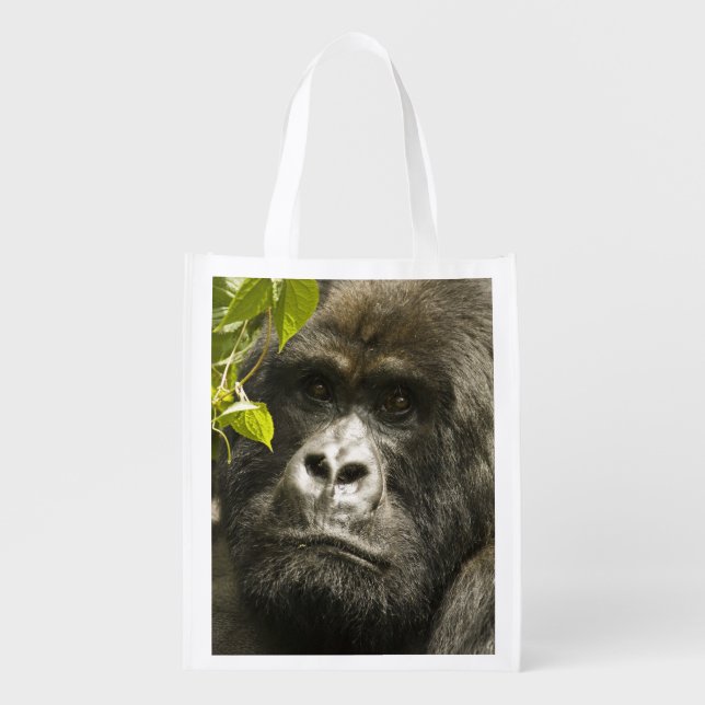 Mountain Gorilla, Gorilla beringei beringei, Grocery Bag (Front)