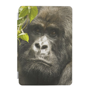 Mountain Gorilla, Gorilla beringei beringei, iPad Mini Cover