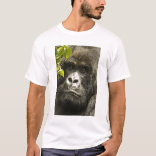 Mountain Gorilla, Gorilla beringei beringei, T-Shirt