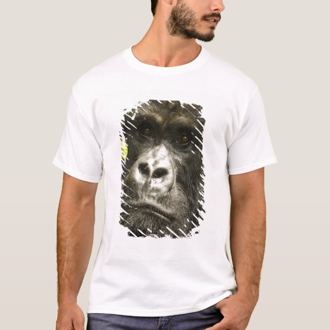 Mountain Gorilla, Gorilla beringei beringei, T-Shirt (Front)