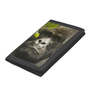 Mountain Gorilla, Gorilla beringei beringei, Tri-fold Wallet