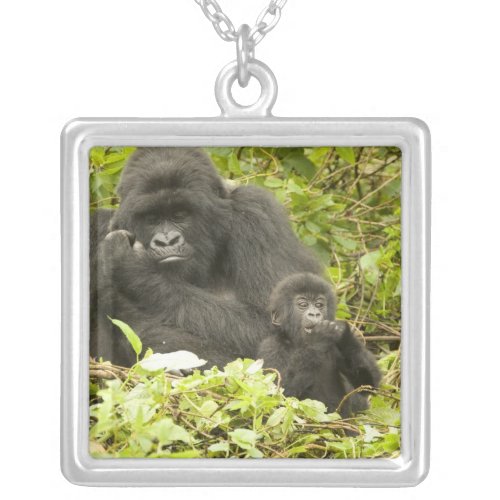 Mountain Gorilla Gorilla beringei formerly G Silver Plated Necklace
