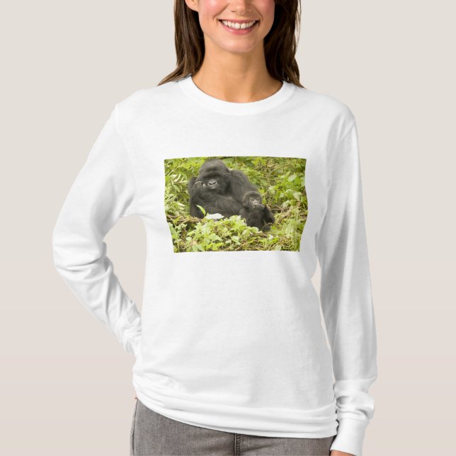 Mountain Gorilla, Gorilla beringei (formerly G. T-Shirt (Front)
