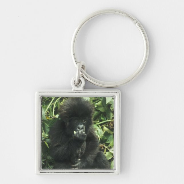 Mountain Gorilla, (Gorilla gorilla beringei), Keychain (Front)
