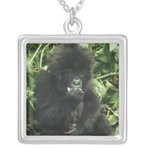 Mountain Gorilla, (Gorilla gorilla beringei), Silver Plated Necklace