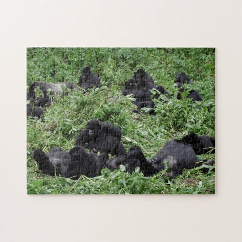 Mountain gorilla group jigsaw puzzle