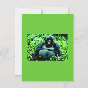 Mountain Gorilla Invitation - Humorous Invitations