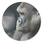 Mountain Gorilla Stickers