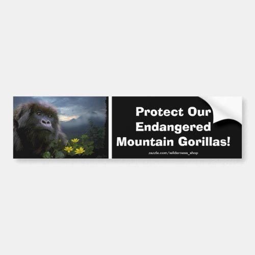 Mountain Gorillas Wildlife Support Bumper Sticker