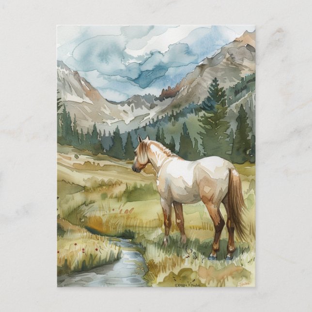 Mountain Horse Postcard (Front)