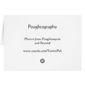 Mountain House Reflection (Back Horizontal)