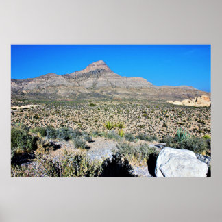 Mountain in Nevada Desert Poster