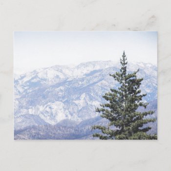 Mountain Landscape With Pine | Postcard by GaeaPhoto at Zazzle