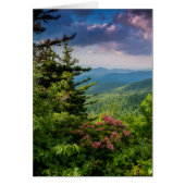 Mountain Laurel at Sunrise (Front)