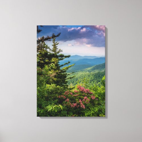 Mountain Laurel at Sunrise Canvas Print