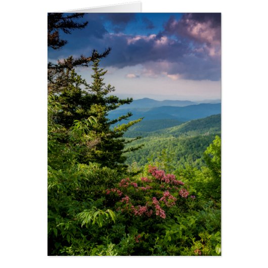 Mountain Laurel at Sunrise Cards (Front)