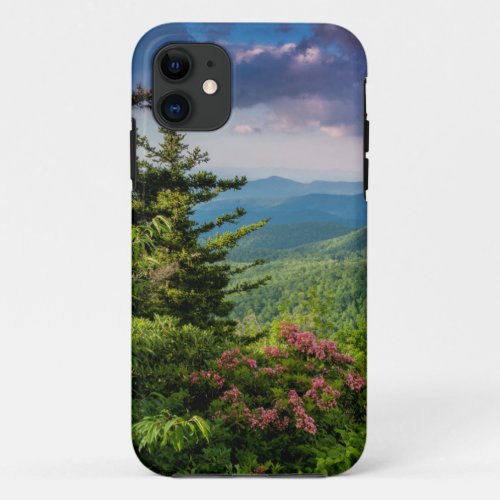 Mountain Laurel at Sunrise iPhone 11 Case