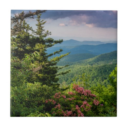 Mountain Laurel at Sunrise Ceramic Tile