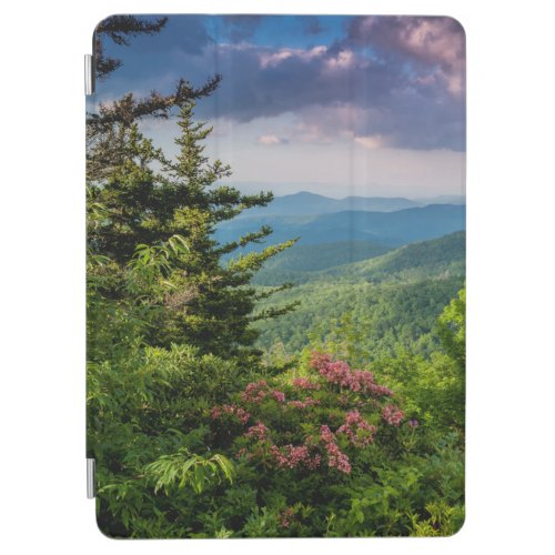 Mountain Laurel at Sunrise iPad Air Cover