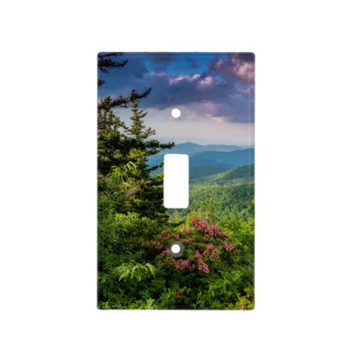 Mountain Laurel at Sunrise Light Switch Cover